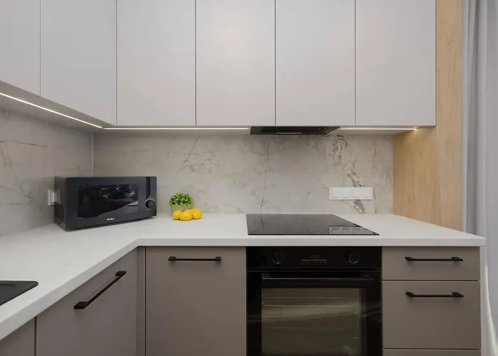 Comfortable In For 4 Guests With Underground Parking By Renters Apartment *