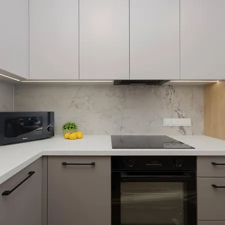 Comfortable In For 4 Guests With Underground Parking By Renters Apartament *